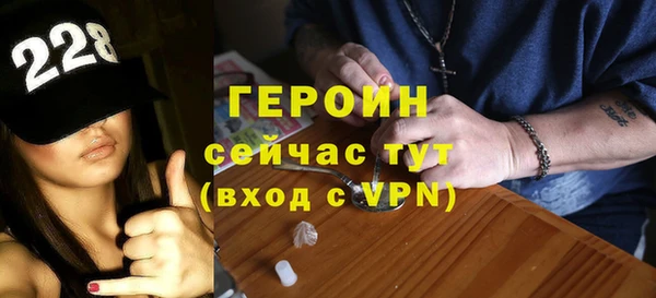 гашик Алексин