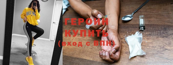 гашик Алексин