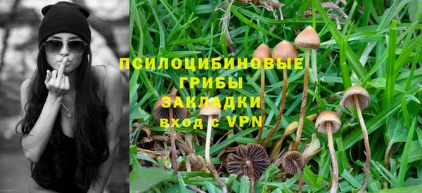 гашик Алексин