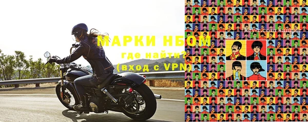 стаф Алзамай