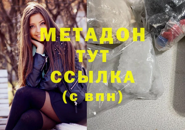 стаф Алзамай