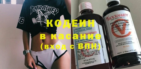 стаф Алзамай