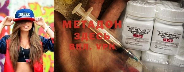 гашик Алексин
