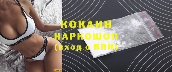 стаф Алзамай