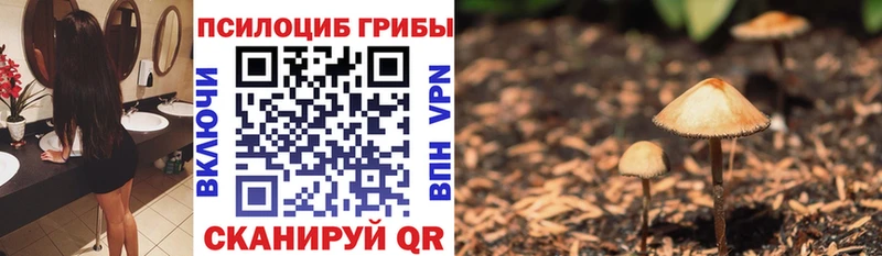гидра вход  Ликино-Дулёво  Псилоцибиновые грибы GOLDEN TEACHER 